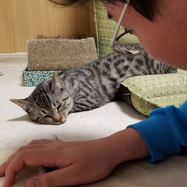 B102dd5a b02c 4721 9576 1e361d3faa88 1678111705780