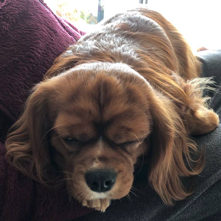 B103764e fb08 4ff9 9b55 89cdcf58b19c 1543707720107