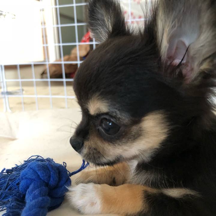 B10379bb ef7b 4b20 b7f5 c3614a121387 1535957541020