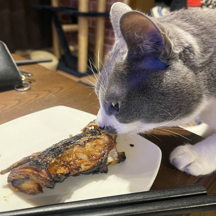 B1037f5f 29bf 4a44 91b0 508b09c4e283 1702038931579