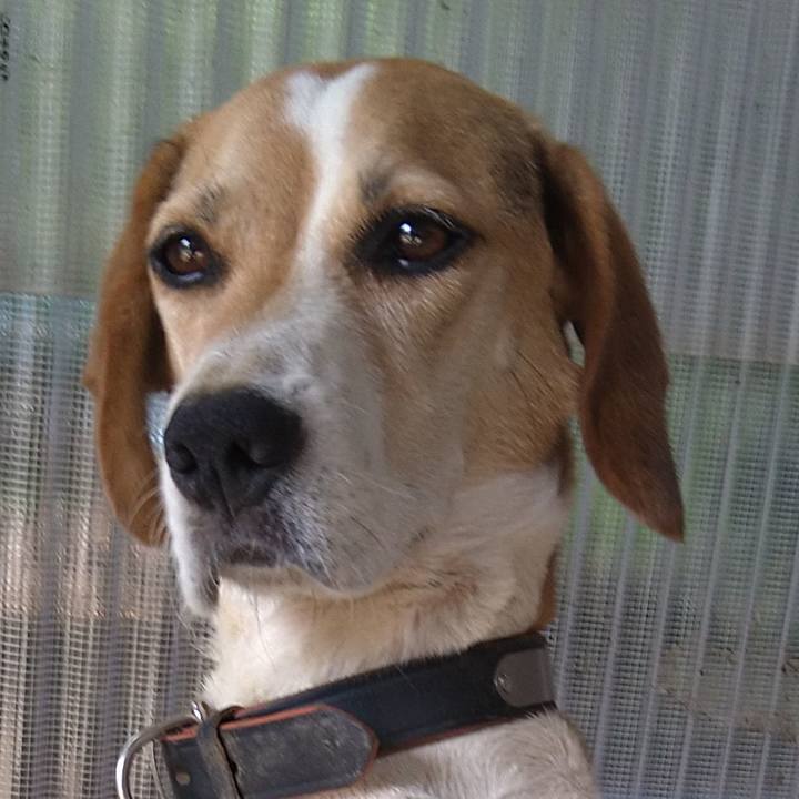 B103aef0 67c8 4aff aae0 a448d5978d9e 1662221572301