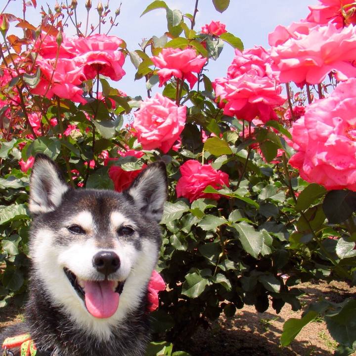 B103be4f eac2 40bd 8855 1c961b64900e 1623802043539