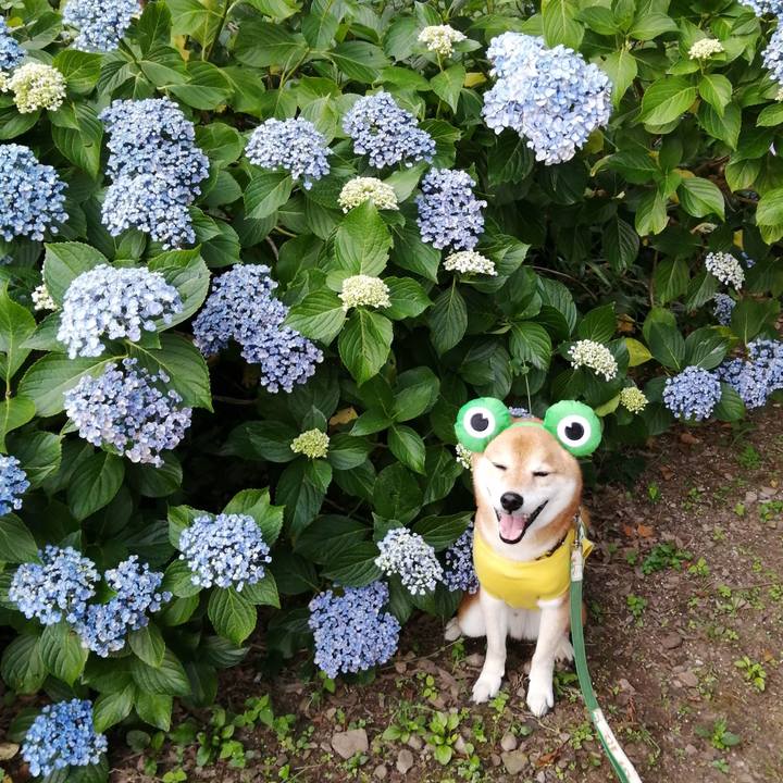 B103cf4c 8c86 4b0d 9197 ea7a12d7288f 1656816449586