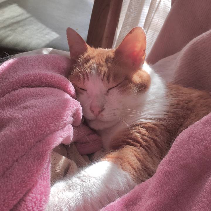 B1040ba8 58ce 45b3 9756 fa82a64ea458 1575639389176