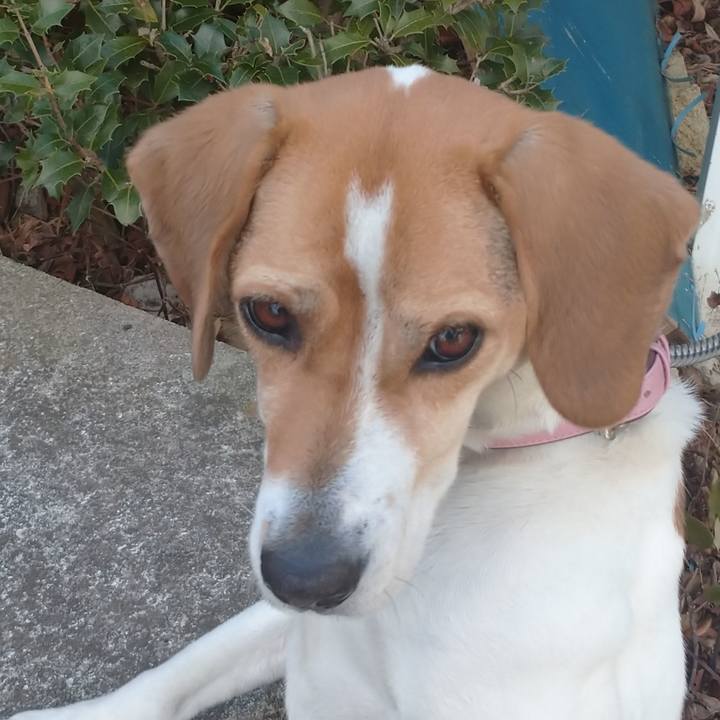 B10410ad ae37 481a b194 ca411c725e7b 1580352129351