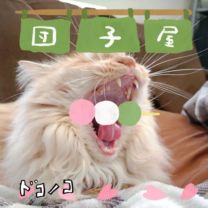 B1042cd6 92c5 4e08 8a4d 4feb3c2c95c3 1712234504534