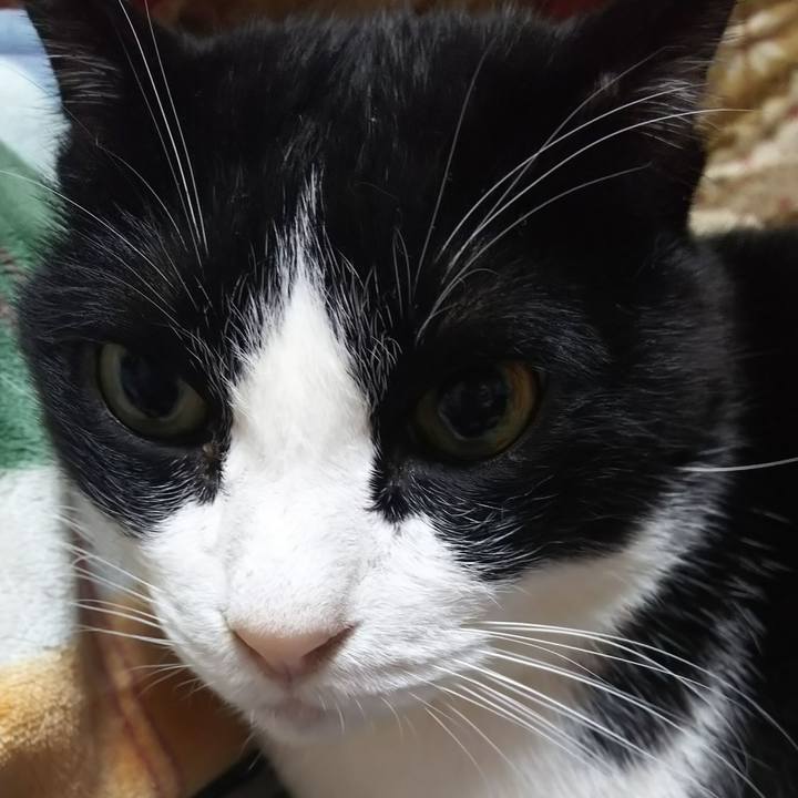 B1043f5d 7c01 4911 a965 5cf3ff30b0ee 1573596096867