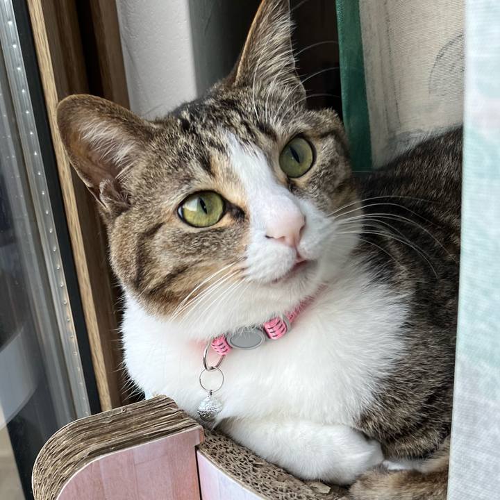 B1045d11 73b7 4b3b 97e9 32bd61396b81 1720218860338