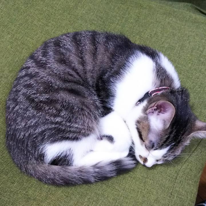 B104befc 630d 415a 83ad 32c1a76b75cf 1612698949903