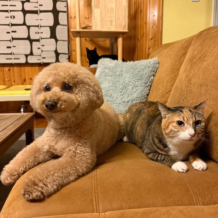 B104e78a 7567 48b4 ab1e 975aa1c8a86f 1774004370284