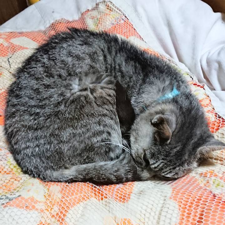 B104f93b 7934 4014 a7c1 5066033ac39b 1572094317894