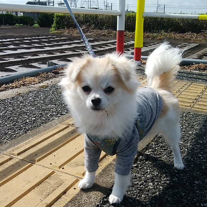 B10531f7 c5b1 4148 b385 48da6f793de8 1619924730395