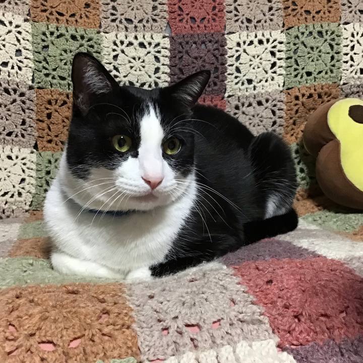 B105c8fb c8f8 4138 9474 285912b2881a 1704801607208