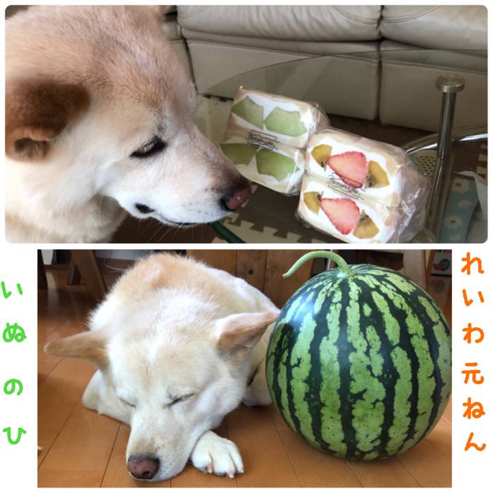 B105e336 6cdf 44f0 8425 c138ea9f7385 1557555169472