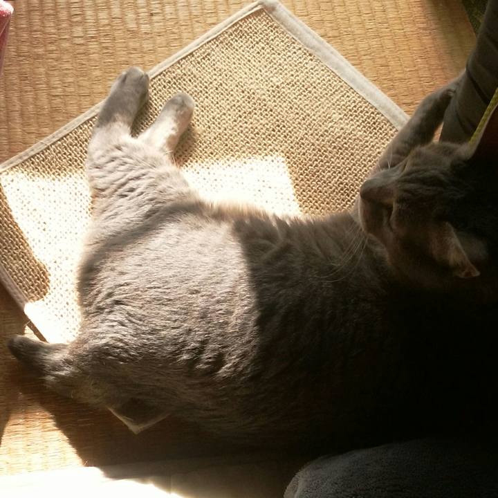 B105edfa 9134 4d35 914f 2bfdd83ce1f9 1572256452654