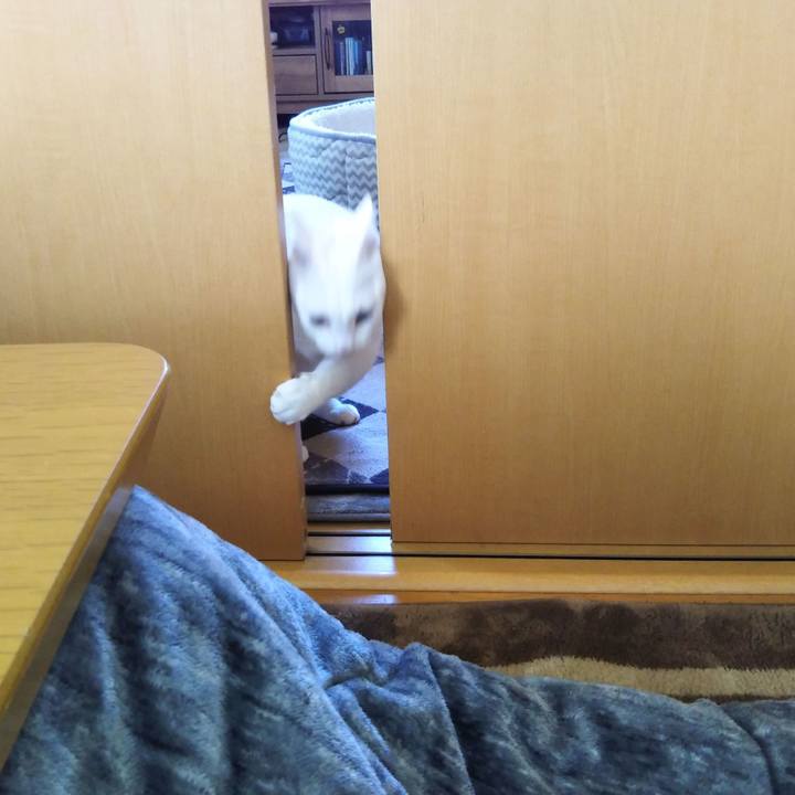 B10612b2 d8a6 43c3 b073 e313da6fbae8 1612661140658