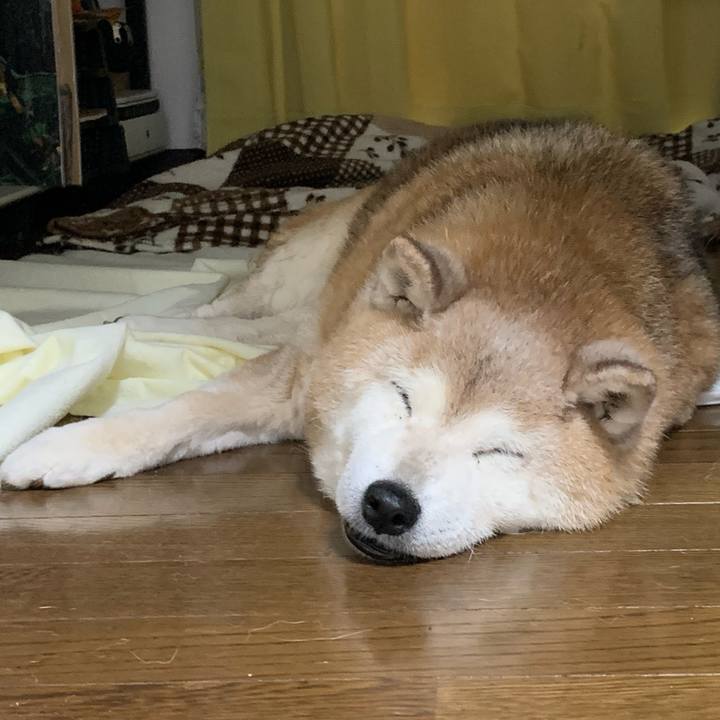 B1061e7c d8e6 49d0 a7a5 0f05bb7bc81f 1686264879127