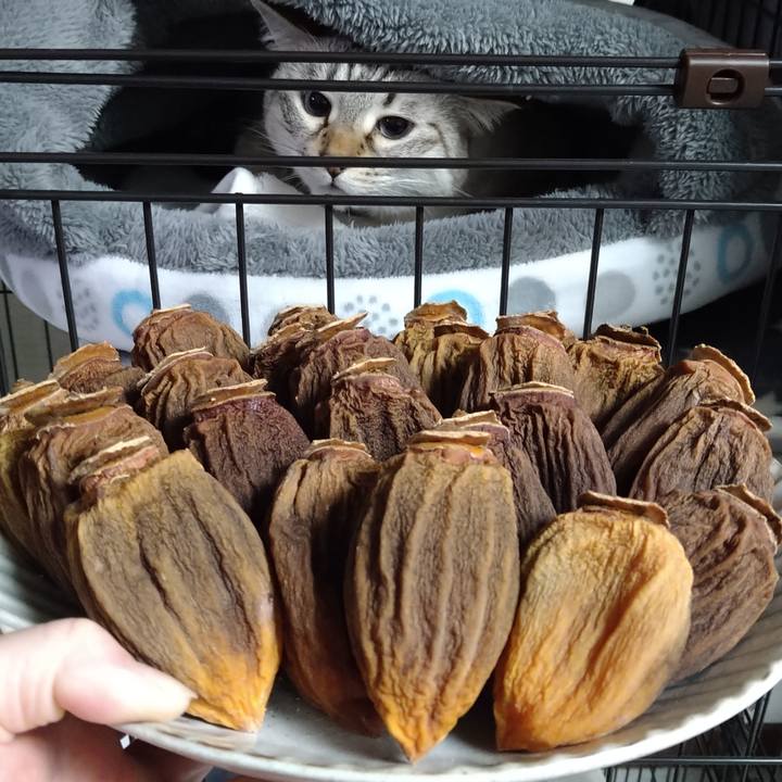 B1063481 69b0 4e29 a23f 1a23a70d9d4f 1669187594531