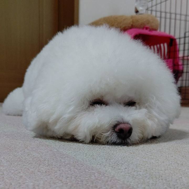 B1068ce3 b9e9 4f1f b2be ea75242f7259 1593924800915