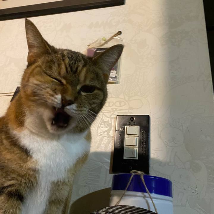 B106bb58 d721 4013 a3a6 6c822020fb0a 1670864141022