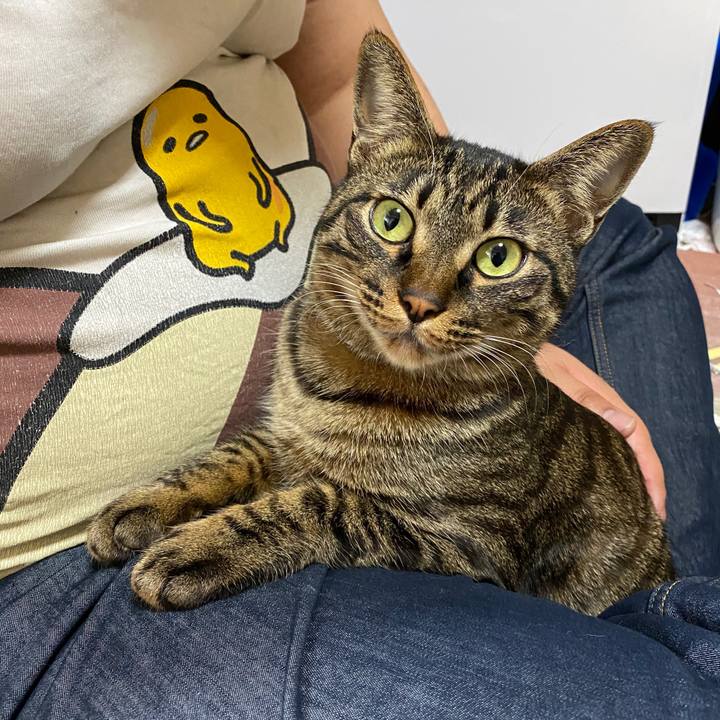 B106d240 8f51 4347 8b3c 6d33a44c8874 1583743312884