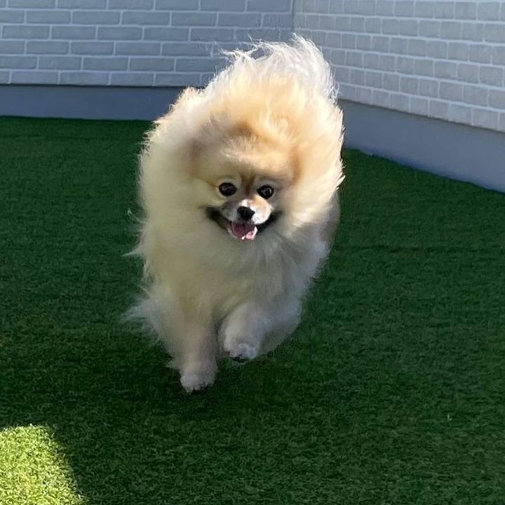 B1070d79 fa9d 4586 8afe 5c55354759f9 1740714164027