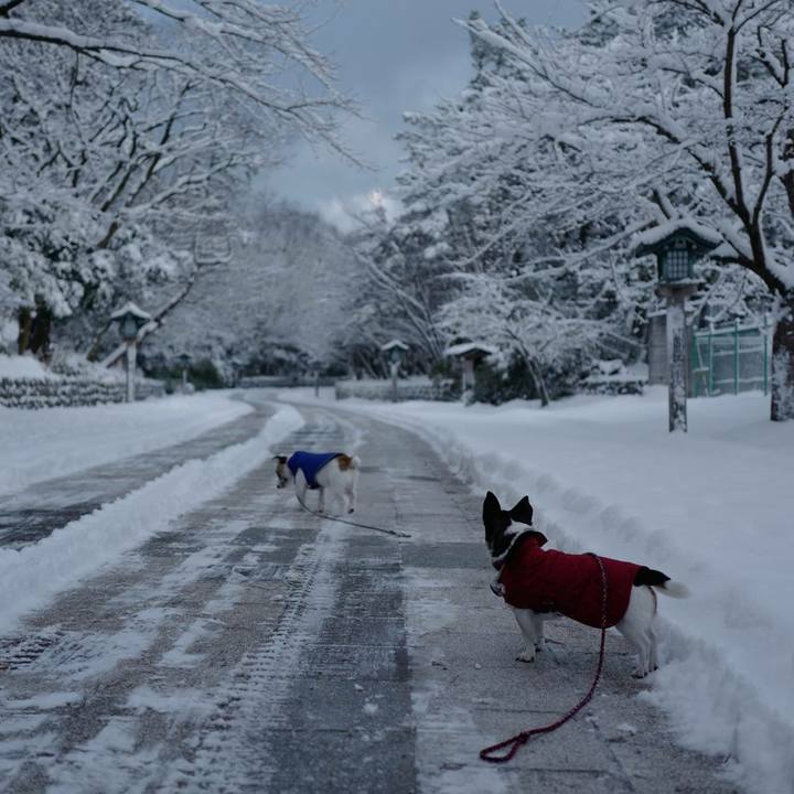 B1071069 374c 45ae b1e8 c2f9fd900b76 1517372637160