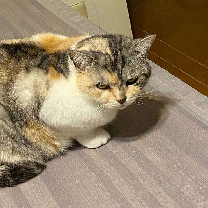 B107176f 4820 4926 91a8 c2e952bcdca2 1618569990249