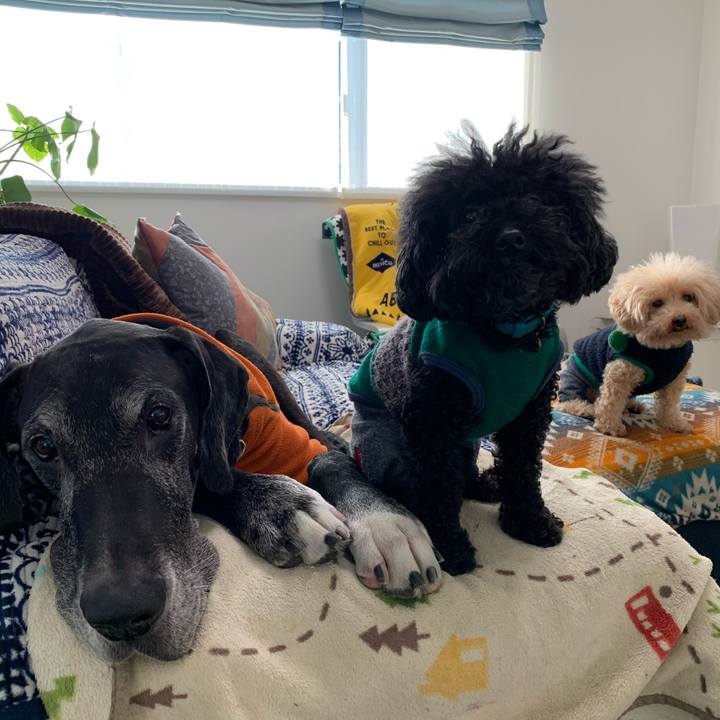 B1073c94 4238 4d00 9981 71d55cbda2fc 1576017927177