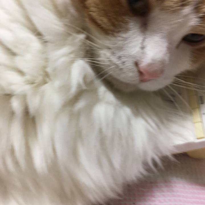 B1076a4e dd54 45d1 9291 dcd2a9eeba68 1527855717849