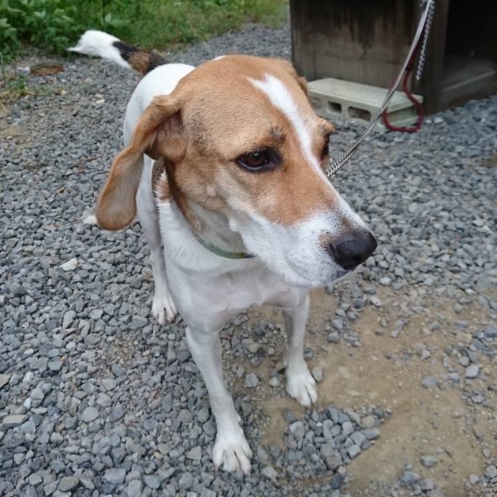 B107a11d 960e 4827 8a54 41cd917a2f46 1570154496058