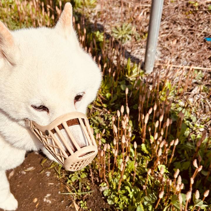 B107ce8c bcc3 4faa 86f4 d211745df59b 1745625121033