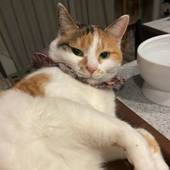 B10801ba 7919 4c88 8f6c 9cb7248d5518 1742820583939