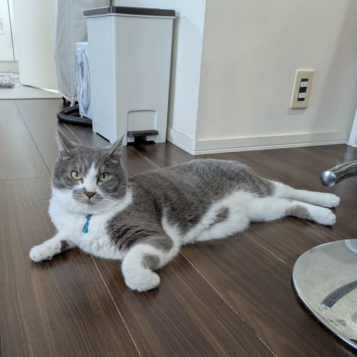 B108101b d9b7 4094 80bd 7c5321873231 1751185994299