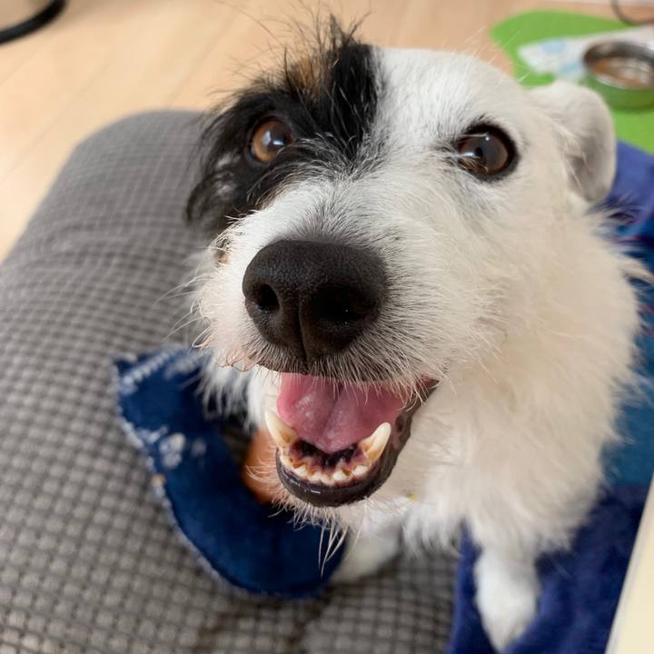 B1081905 5204 4812 9b44 0c9cf5a37d1a 1559104672857