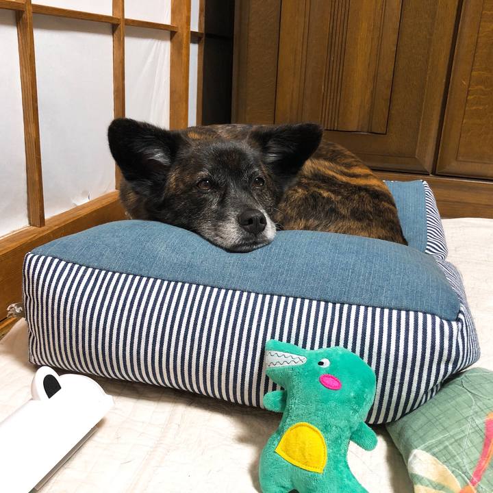 B1083ad8 4484 4616 8c12 ddbe619ad7ff 1588774746907