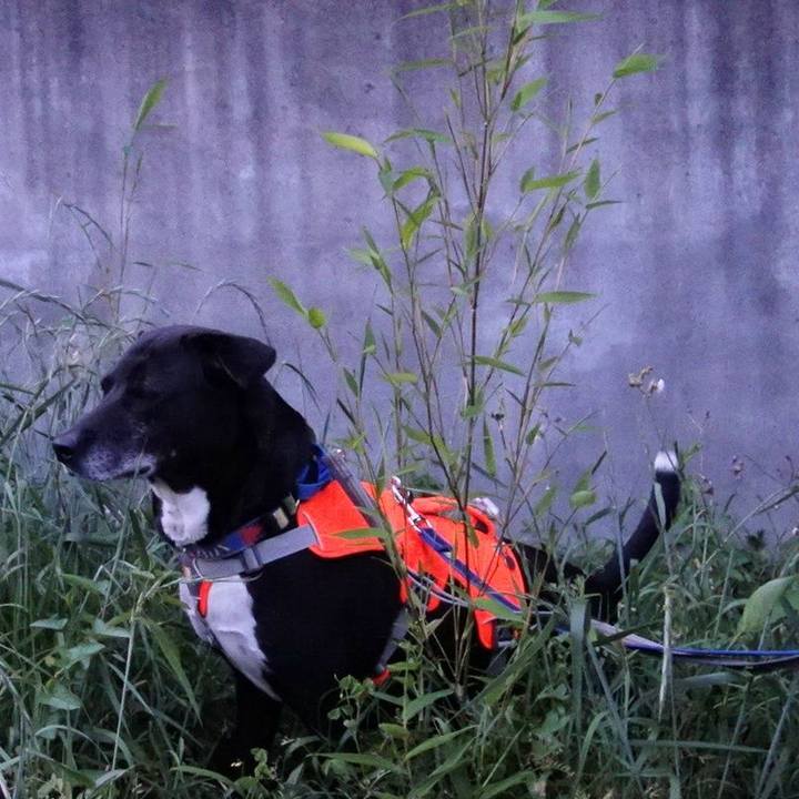 B10881ba 4030 43b0 9e20 d2d8595b66c0 1714647911136