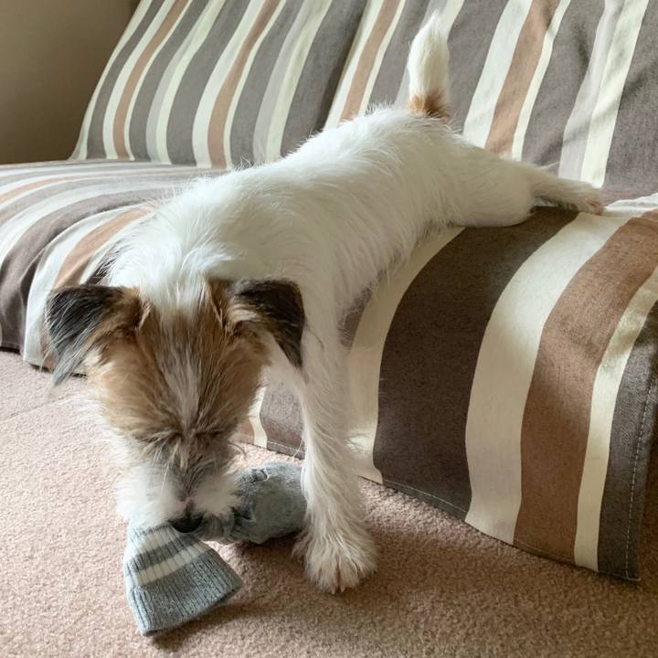 B10896e8 1372 4787 9bc2 a7eaf71e8b09 1570408412212