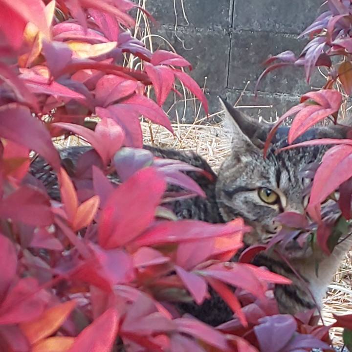 B108a7d9 a72d 4378 8bde b5034914d3eb 1610526213085