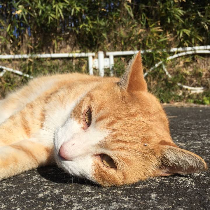 B108b39a aaff 49dd b414 b32af1a45728 1511687796756