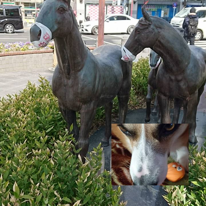 B108df98 65cd 448f 8ff6 3435a0040d31 1612244843386