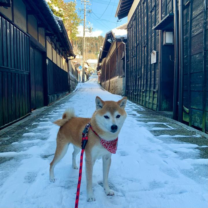 B108eaef 6b59 4f17 9e41 f17ce01cfea5 1640947002426