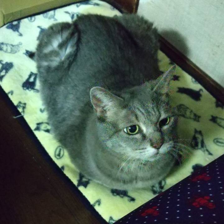 B108f0e0 f643 4da8 9bdd 4700955c2374 1601463874188