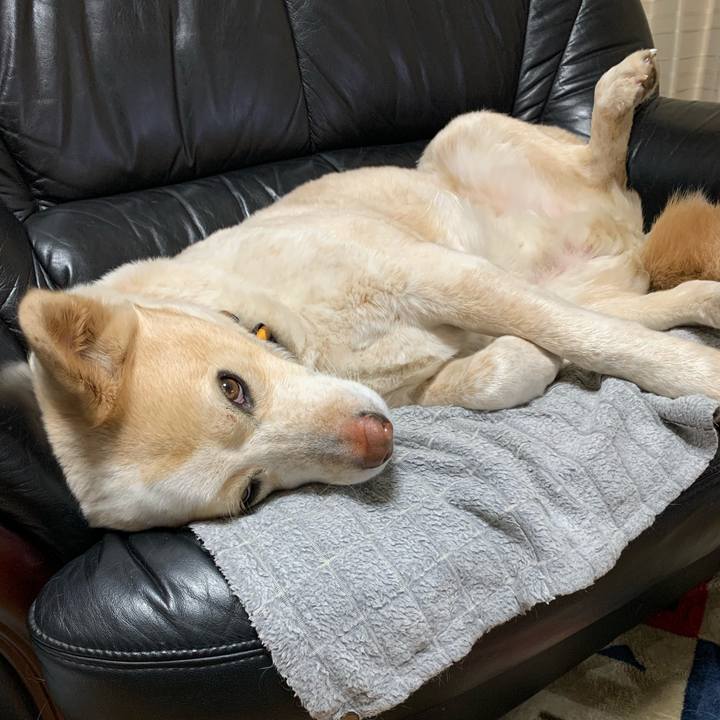 B108fec3 1c07 48e0 9b45 01d4b59739cd 1583589564745