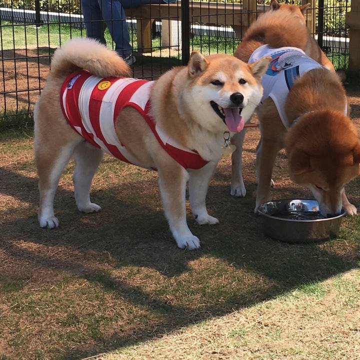 B10962af 631b 4b1f baae c0090f2ae5e9 1560677286963