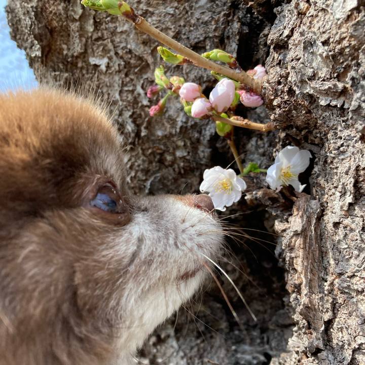 B109e200 bfa3 42c2 985b 2f86038cdfde 1650241819349