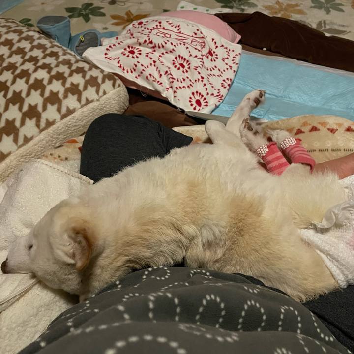 B109f715 f89f 4e18 b30a 0221453e5b91 1675276669631