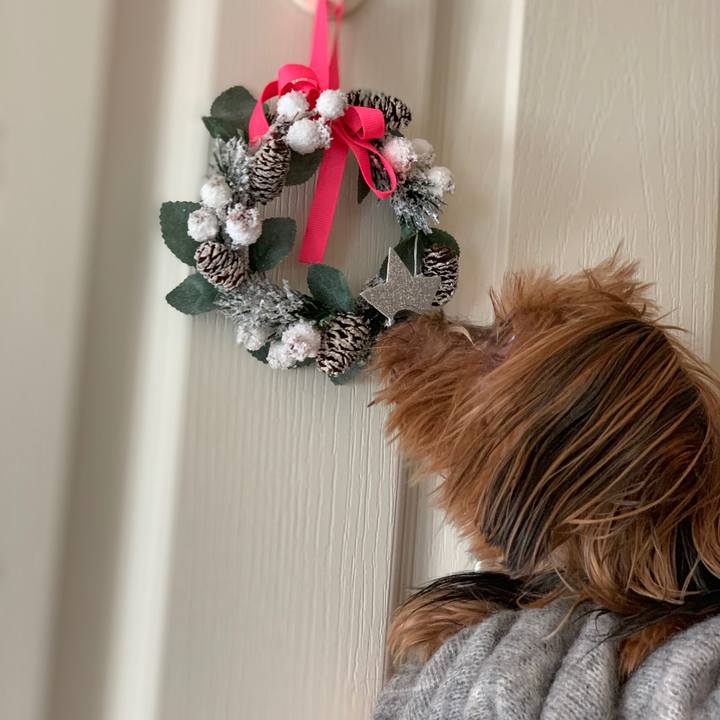 B109f77c 60eb 46c4 a2e5 73c24caeeaaf 1542503683410