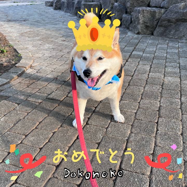 B10a0675 7f1b 49f5 bd7c f9eac21bc88f 1685930809763