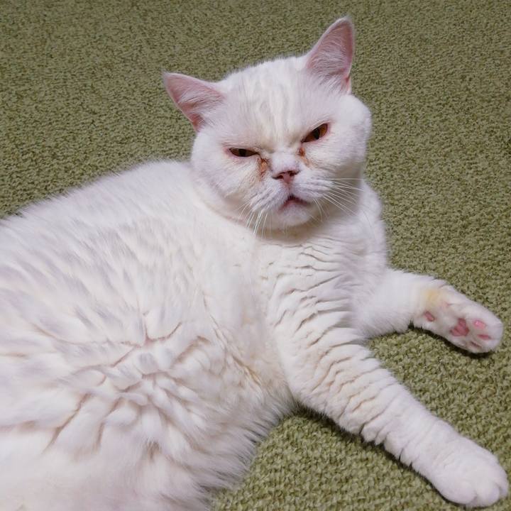 B10a2892 3ae0 4243 9337 70f321da1762 1693392929639